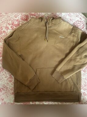 Hollister Hoodie in Brown with White Script